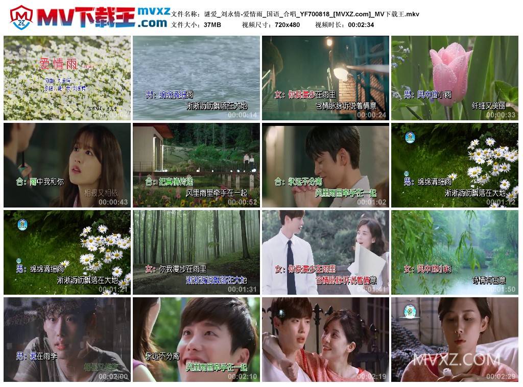 谜爱_刘永情-爱情雨_国语_合唱_YF700818